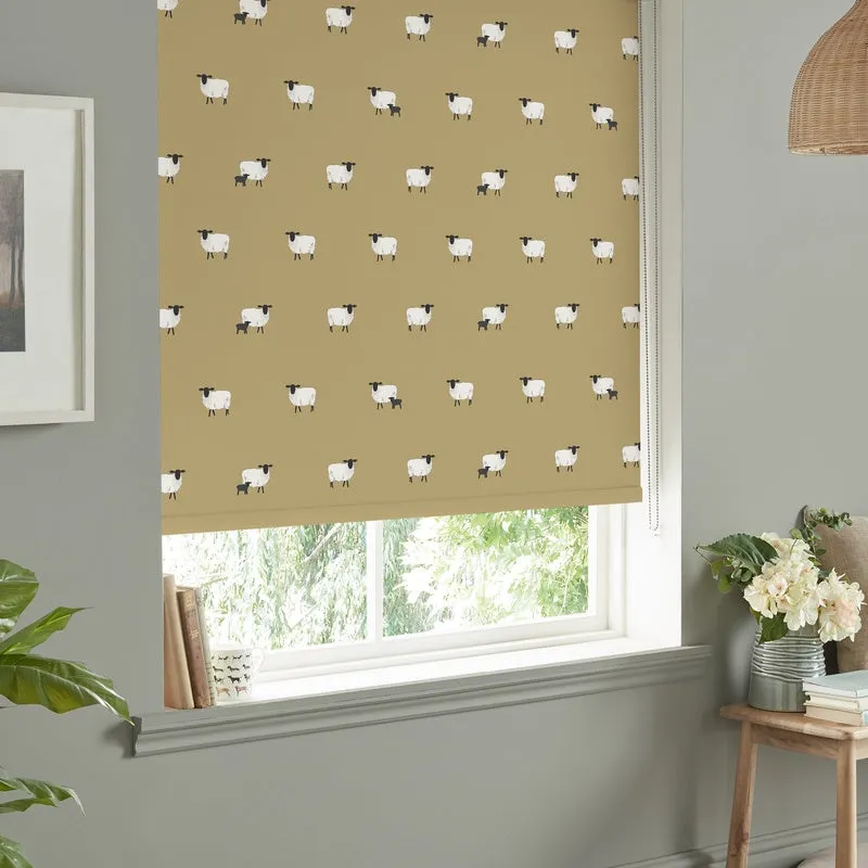 Printed Shades in Al Furjan