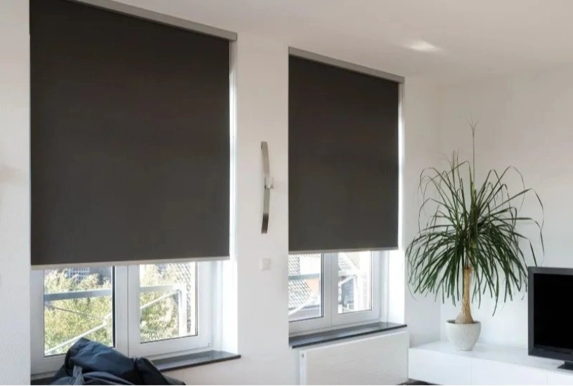 Blackout Window Drapes in Abu Dhabi